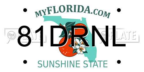 81DRNL Florida License Plate