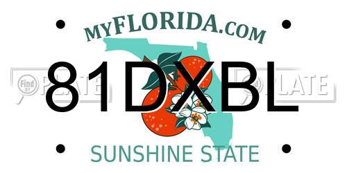 81DXBL Florida License Plate