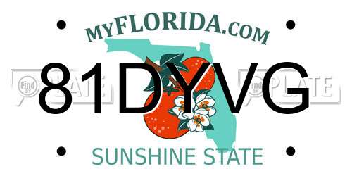 81DYVG Florida License Plate