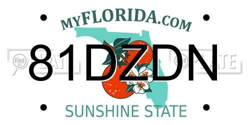 81DZDN Florida License Plate