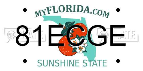 81ECGE Florida License Plate