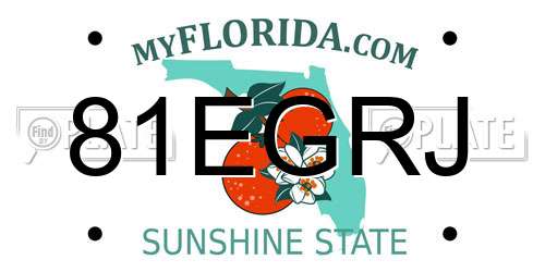 81EGRJ Florida License Plate