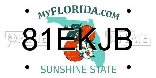 81EKJB Florida License Plate
