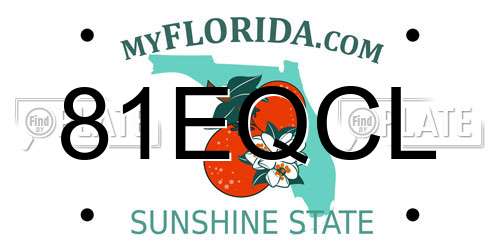 81EQCL Florida License Plate
