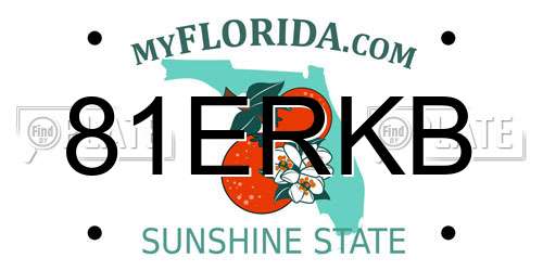 81ERKB Florida License Plate