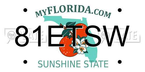 81ETSW Florida License Plate