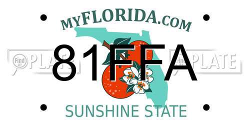 81FFA Florida License Plate