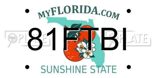 81FTBI Florida License Plate
