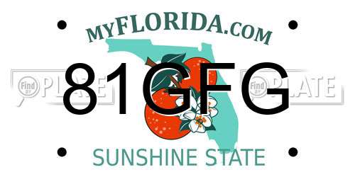 81GFG Florida License Plate