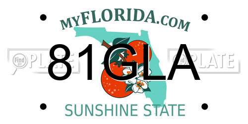 81GLA Florida License Plate