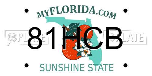 81HCB Florida License Plate