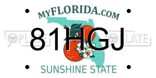 81HGJ Florida License Plate