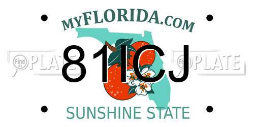 81ICJ Florida License Plate