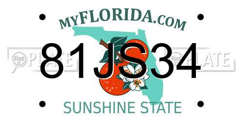 81JS34 Florida License Plate
