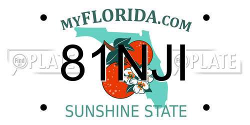81NJI Florida License Plate