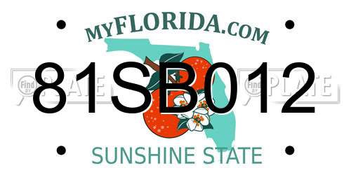 81SB012 Florida License Plate