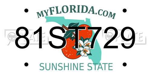 81ST729 Florida License Plate