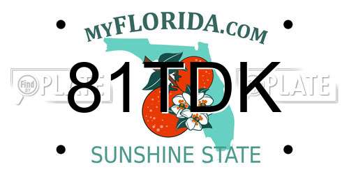 81TDK Florida License Plate