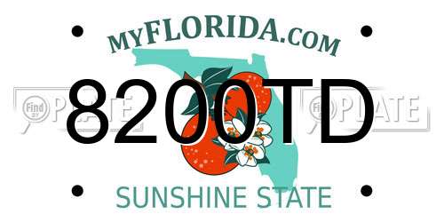 8200TD Florida License Plate