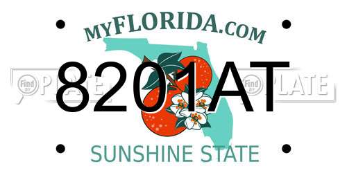 8201AT Florida License Plate