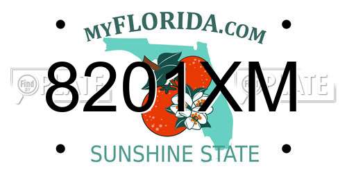8201XM Florida License Plate