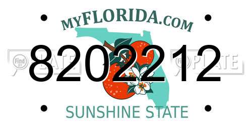 8202212 Florida License Plate