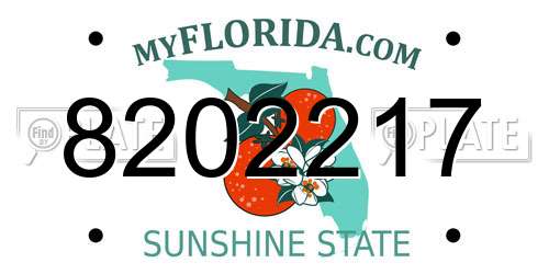 8202217 Florida License Plate