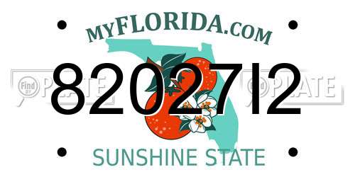 82027I2 Florida License Plate
