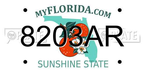 8203AR Florida License Plate