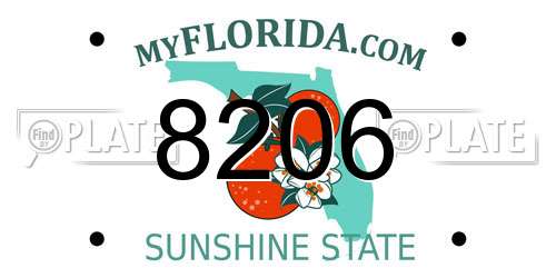8206 Florida License Plate