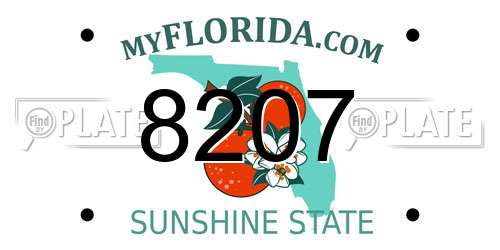 8207 Florida License Plate
