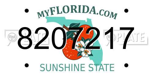 8207217 Florida License Plate