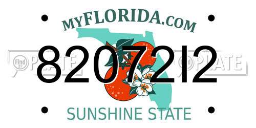 82072I2 Florida License Plate