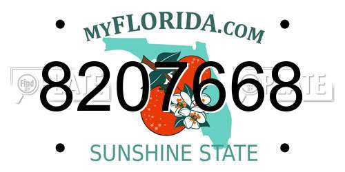 8207668 Florida License Plate