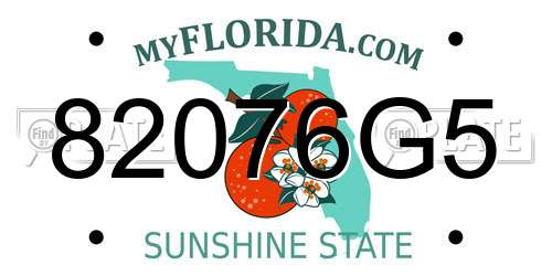 82076G5 Florida License Plate