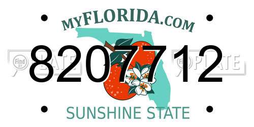 8207712 Florida License Plate