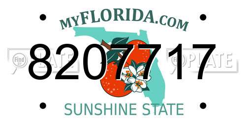8207717 Florida License Plate
