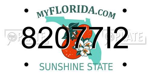 82077I2 Florida License Plate