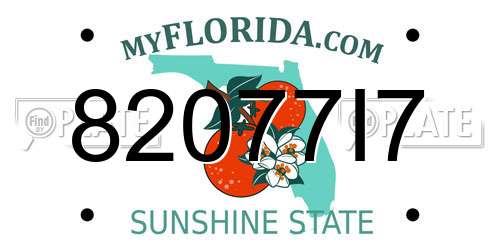 82077I7 Florida License Plate