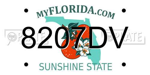 8207DV Florida License Plate