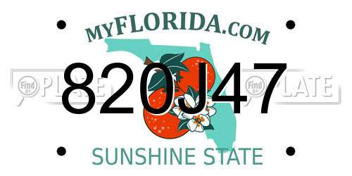820J47 Florida License Plate