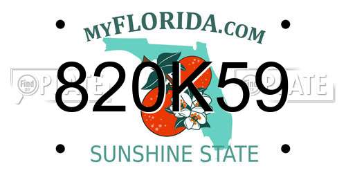 820K59 Florida License Plate