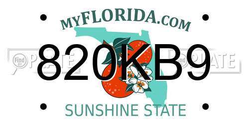 820KB9 Florida License Plate