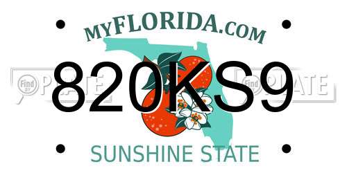 820KS9 Florida License Plate