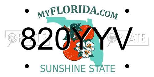820YYV Florida License Plate