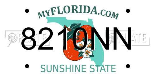 8210NN Florida License Plate