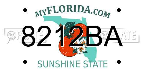 8212BA Florida License Plate