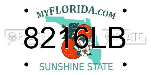 8216LB Florida License Plate