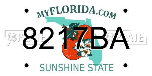 8217BA Florida License Plate