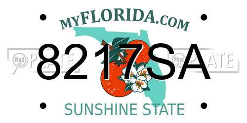 8217SA Florida License Plate